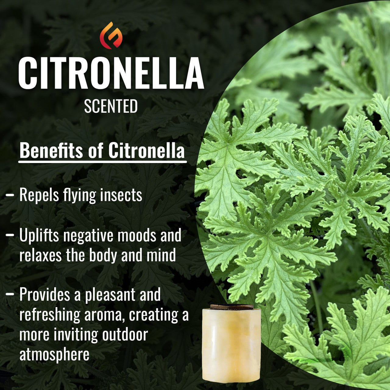 Citronella Double Pack - 2 x 8 Hour Refill