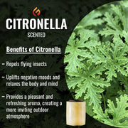 Citronella Double Pack - 2 x 8 Hour Refill